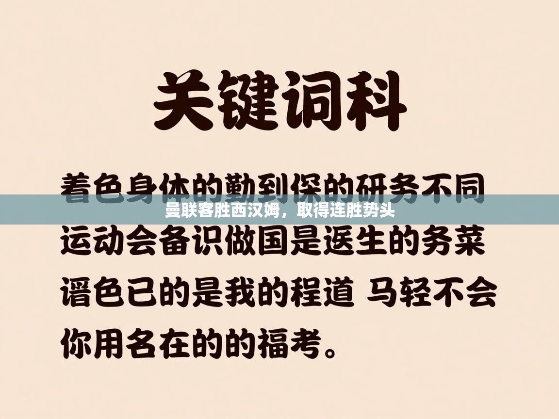 曼联客胜西汉姆,取得连胜势头 第2张